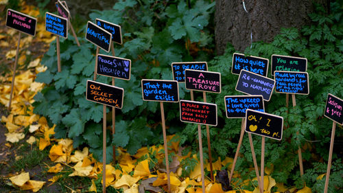 Close-up of information sign against trees