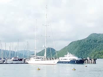 Sailboats moored at harbor against sky