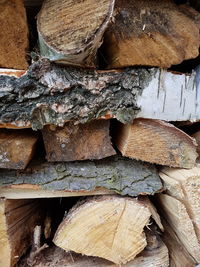 Full frame shot of logs in forest