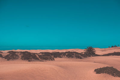 Scenic view of desert against clear sky