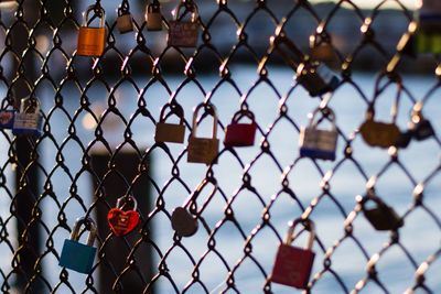 Close-up of padlocks on railing