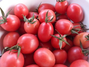 Close-up of tomatoes