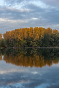 Scenic view of lake by trees in forest against sky