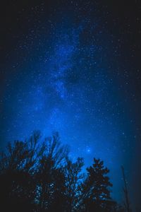 Low angle view of starry sky