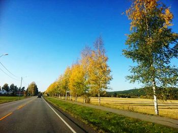 Empty road along trees