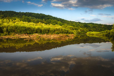 Scenic view of lake by trees against sky