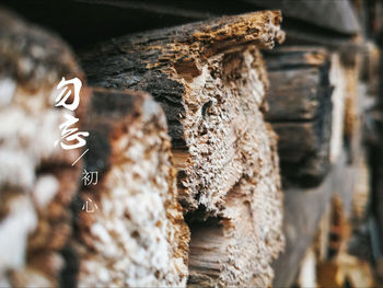 Close-up of text on wood against wall