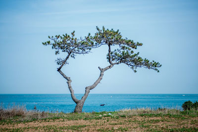 Scenic view of sea against blue sky