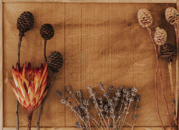 High angle view of dried flowers on table