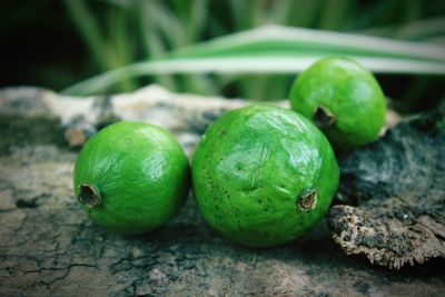 Close-up of guavas on table