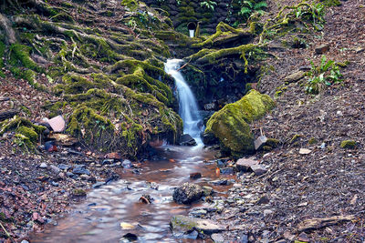 View of waterfall in forest