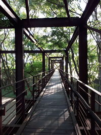 Footbridge in forest