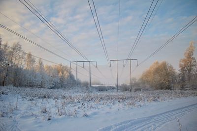 Bare trees on field against sky during winter