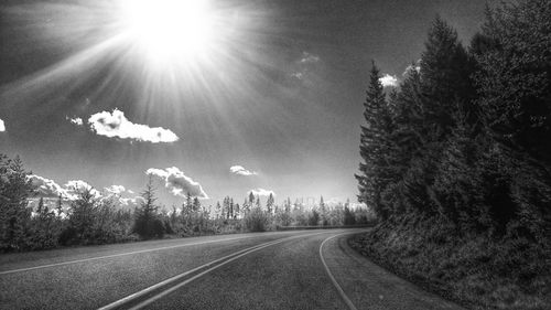 Empty road along trees