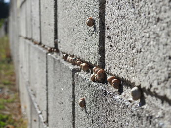 Close-up of rusty metal wall