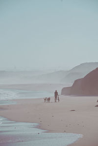 Foggy beach in portugal