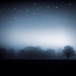 Scenic view of landscape against sky at night