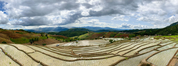 Panoramic view of rice field against sky
