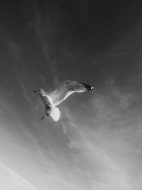 Low angle view of helicopter flying in sky