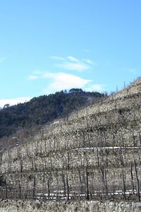 Scenic view of landscape against blue sky