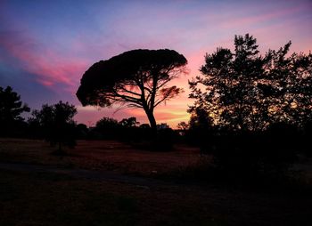 Silhouette trees on field against sky during sunset