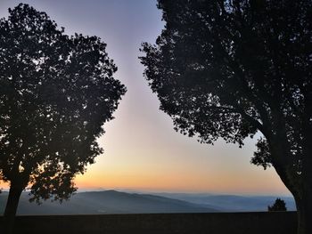 Silhouette trees against sky during sunset