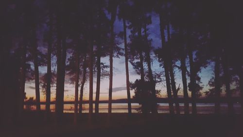 Silhouette trees on shore against sky