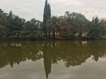 Reflection of trees in lake against sky