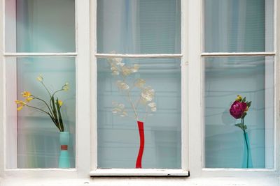 Flowers on window of building