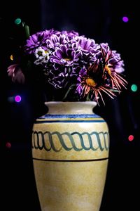 Close-up of flowers in vase