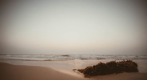 Scenic view of beach against clear sky