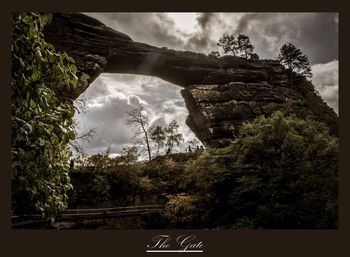 Scenic view of trees against sky
