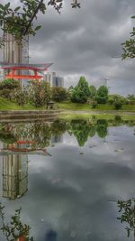 Reflection of trees in water