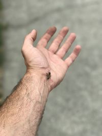 Close-up of hand against blurred background