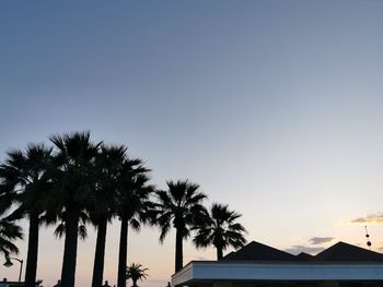 Low angle view of palm trees and building against sky