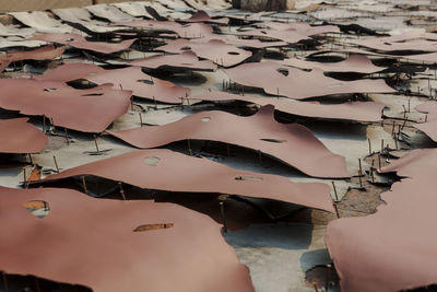 Close-up of animal skin dried on roof