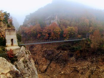 Scenic view of trees during autumn