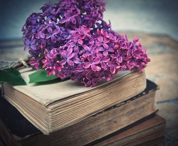 Lilac and old books