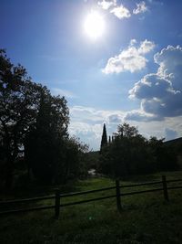 Trees growing on field against sky