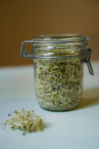 Bean sprouts in jar on table