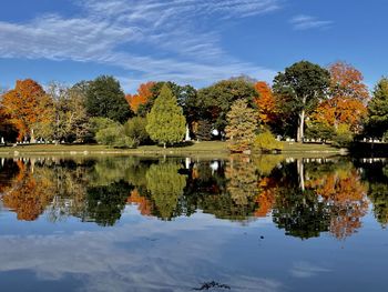 reflection