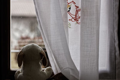 Close-up of toy animal by window at home