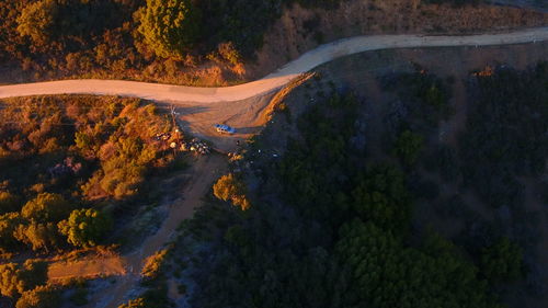 High angle view of road amidst trees in forest