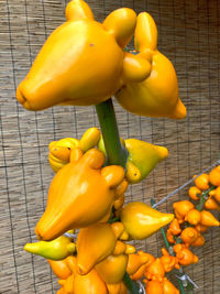 High angle view of yellow chili peppers on table