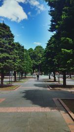 Footpath along trees