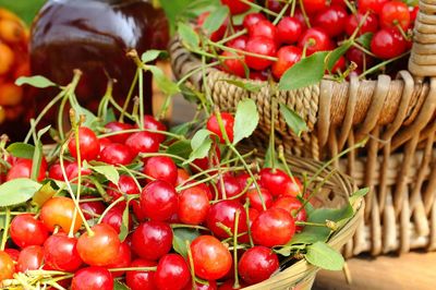 Close-up of tomatoes in basket