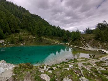 Scenic view of lake by trees against sky