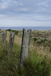 Wooden fence on field by sea against sky