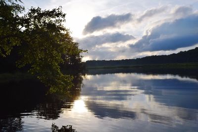 Reflection of trees in calm lake