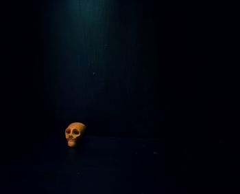 Close-up of skull over black background